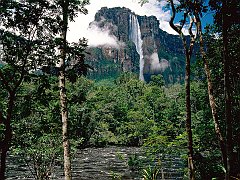 Angel Falls, Orinoco Basin, Canaima National Park, Venezuela